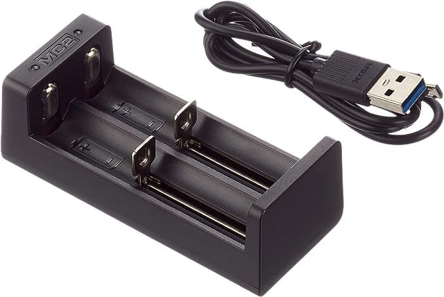 Caricabatterie XTAR MC2