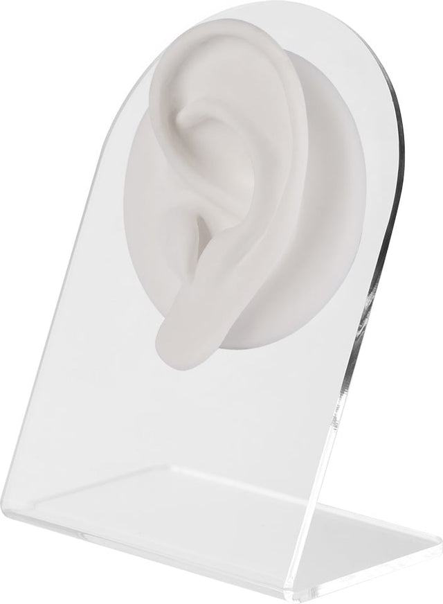 WHITE ANATOMIC DISPLAY EAR-L