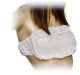 Reggiseno Bianco conf. singola - Polybag 100pz