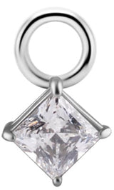 SS 316 CHARMS FOR SEGMENT RINGS - mod. 63